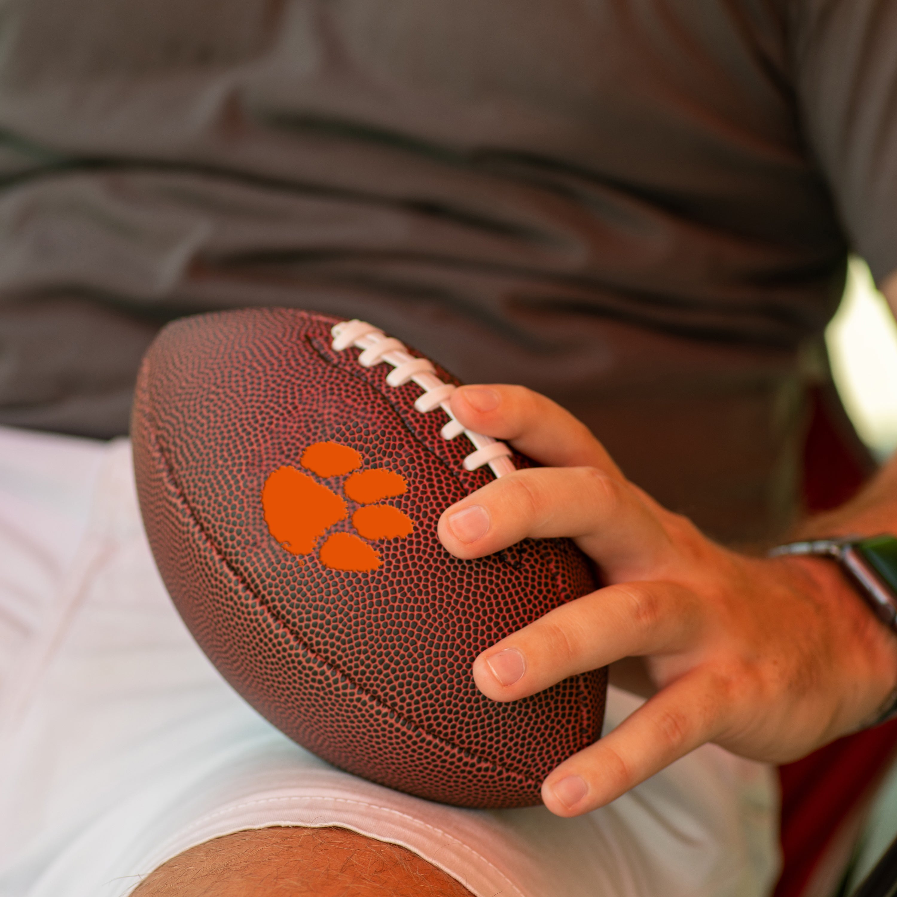 Clemson Mini-Size Composite Football