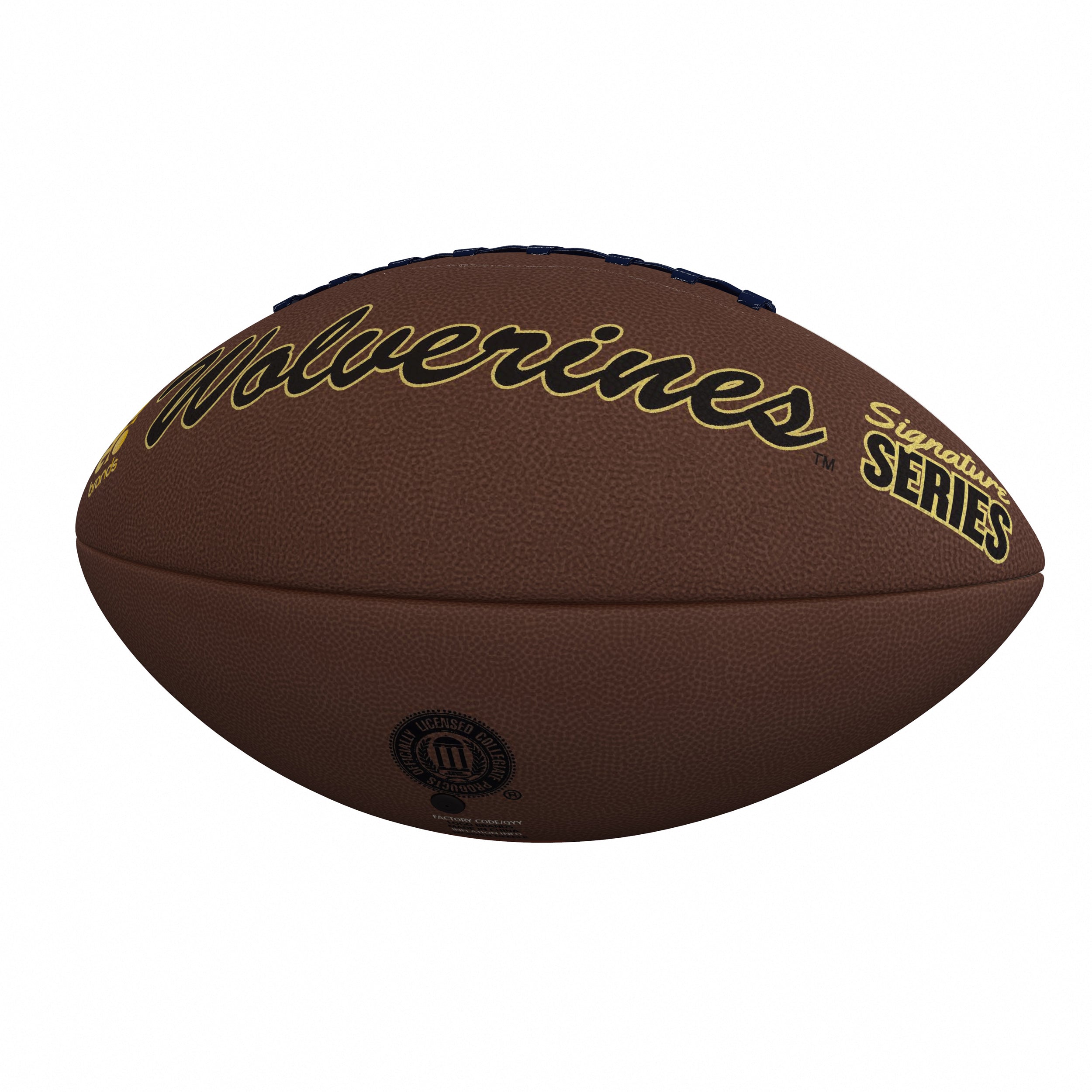 Michigan Official-Size Autograph Football