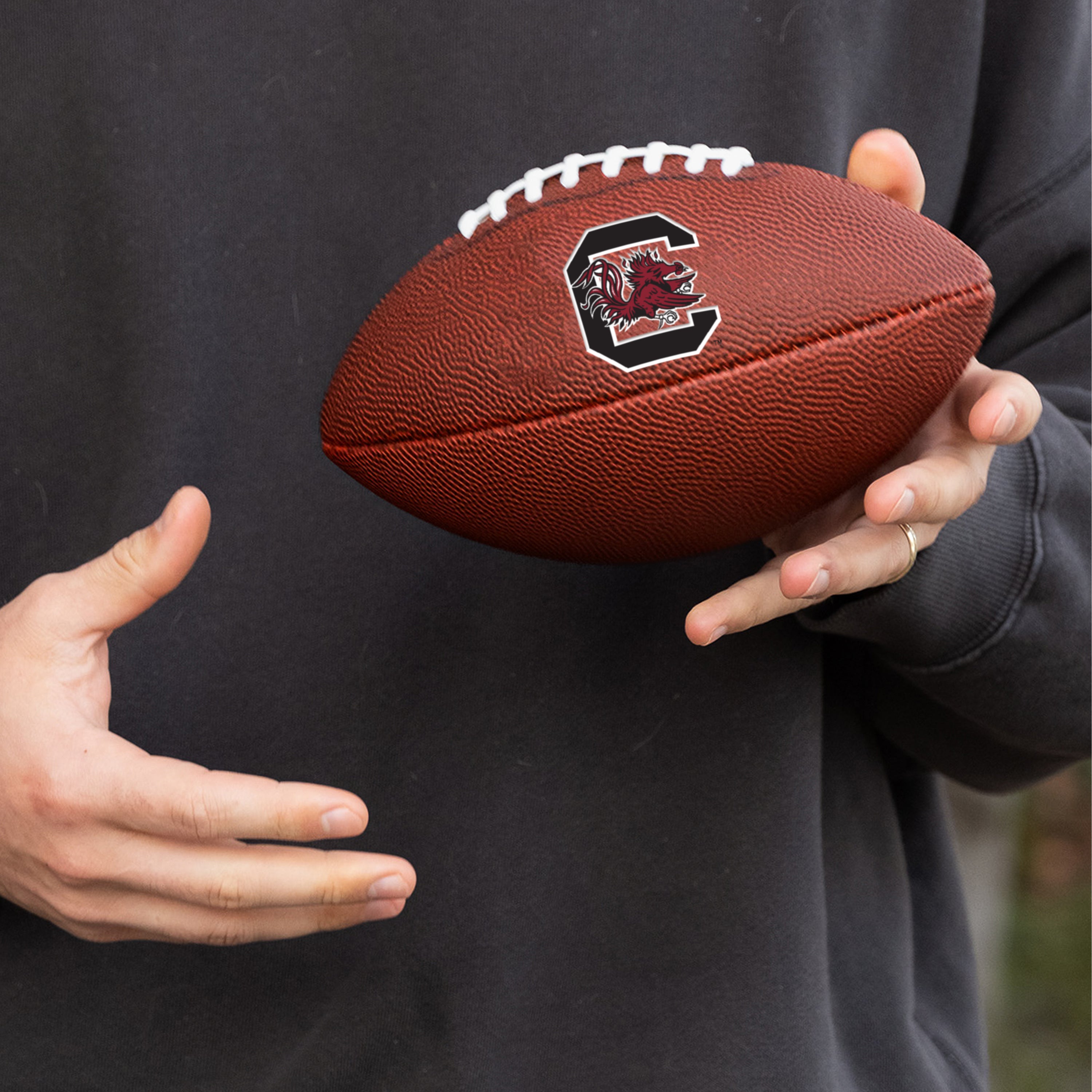 South Carolina Mini-Size Composite Football