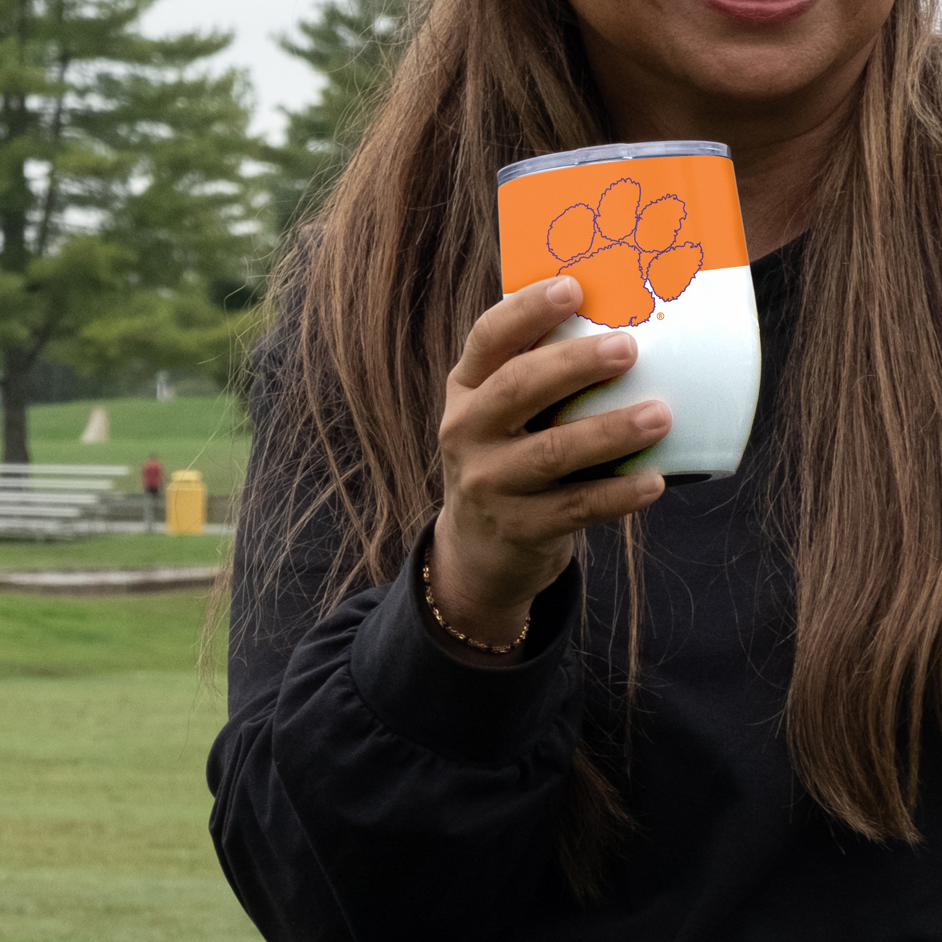 Clemson 16 oz. Colorblock Stainless Curved Beverage Tumbler