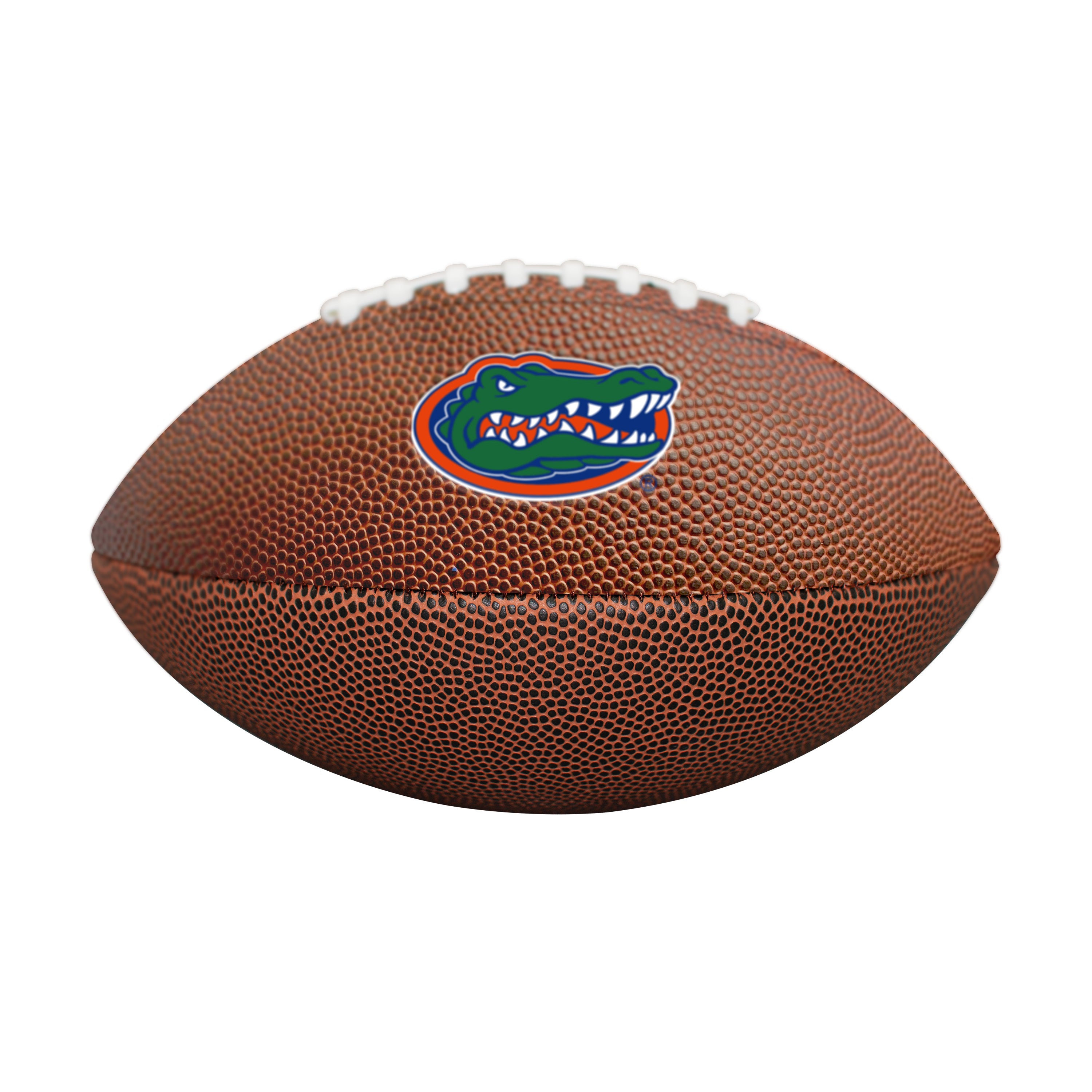 Florida Mini-Size Composite Football