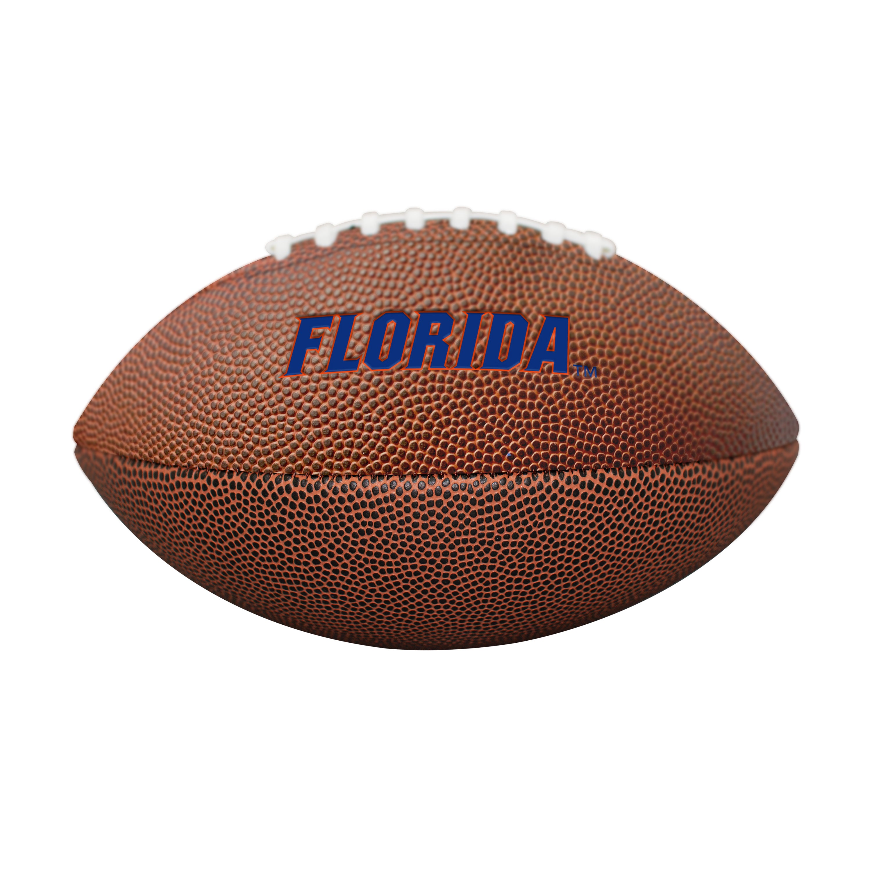 Florida Mini-Size Composite Football