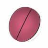 FL State Official-Size Autograph Basketball