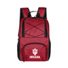 Indiana 24 Can Flex Backpack Cooler
