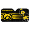 University of Iowa Auto Shade