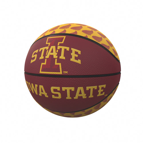 Product Image for Iowa State Mini-Size Rubber Basketball