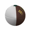 MI State Official-Size Autograph Football