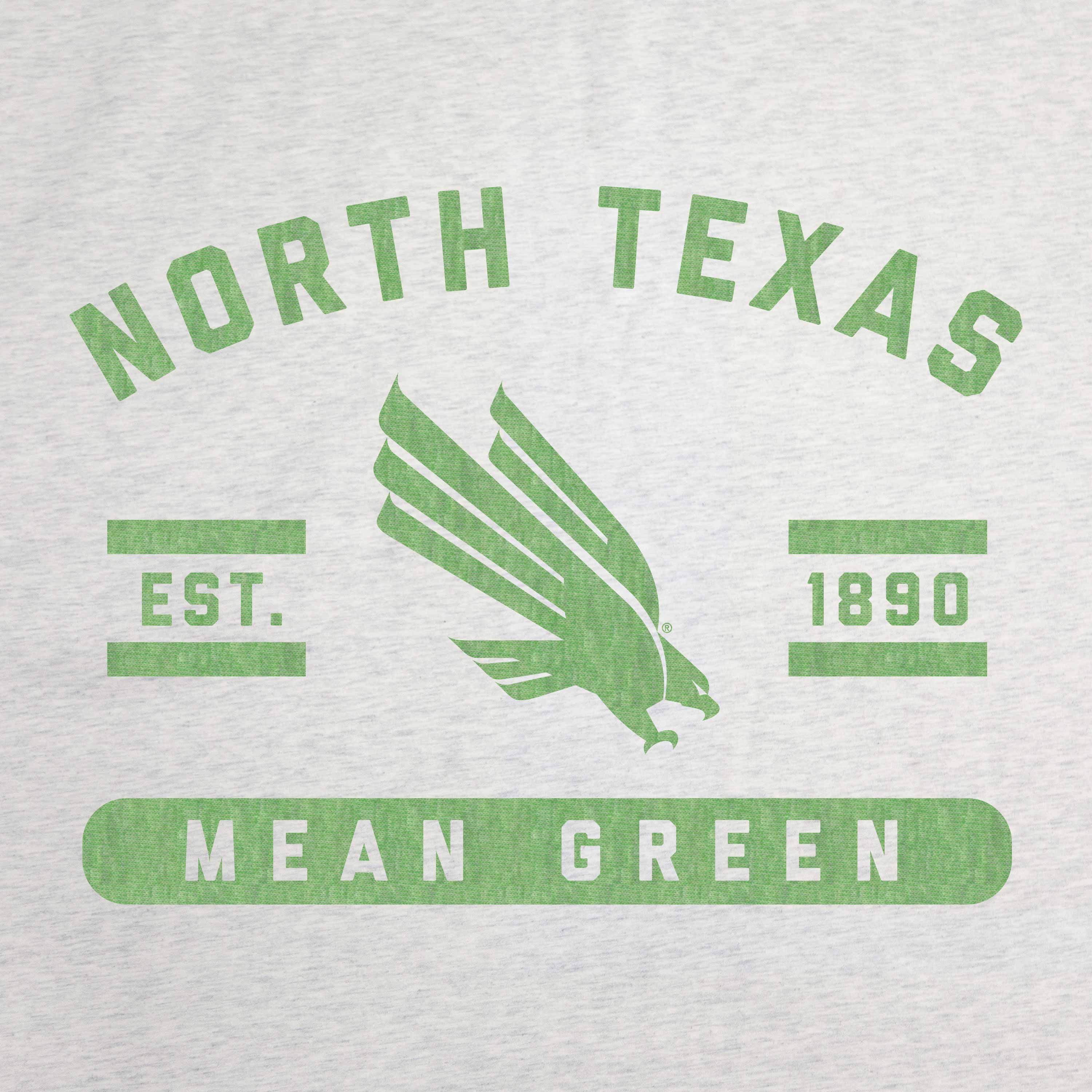 North Texas Sublimated Sweatshirt Blanket