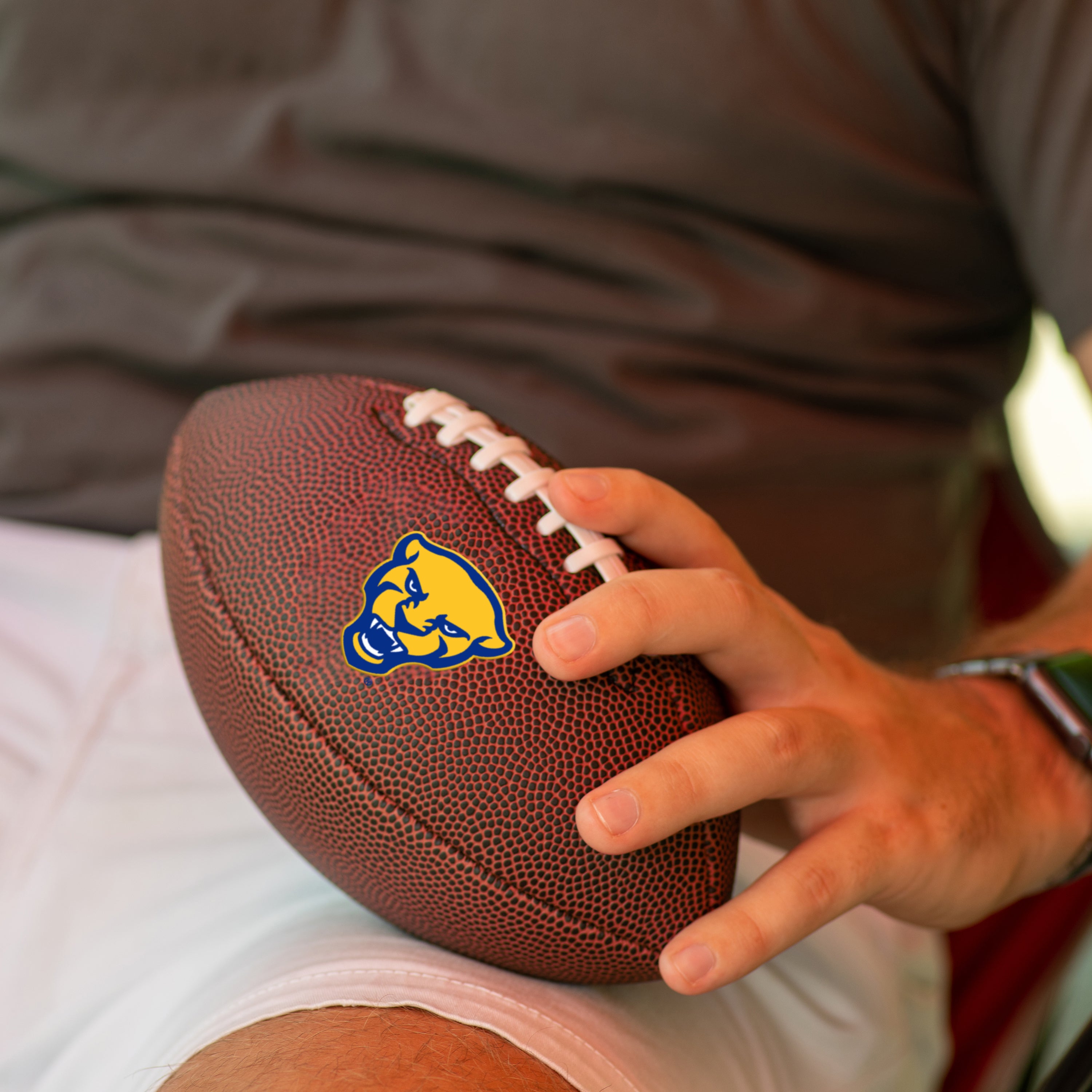 Pittsburgh Mini-Size Composite Football