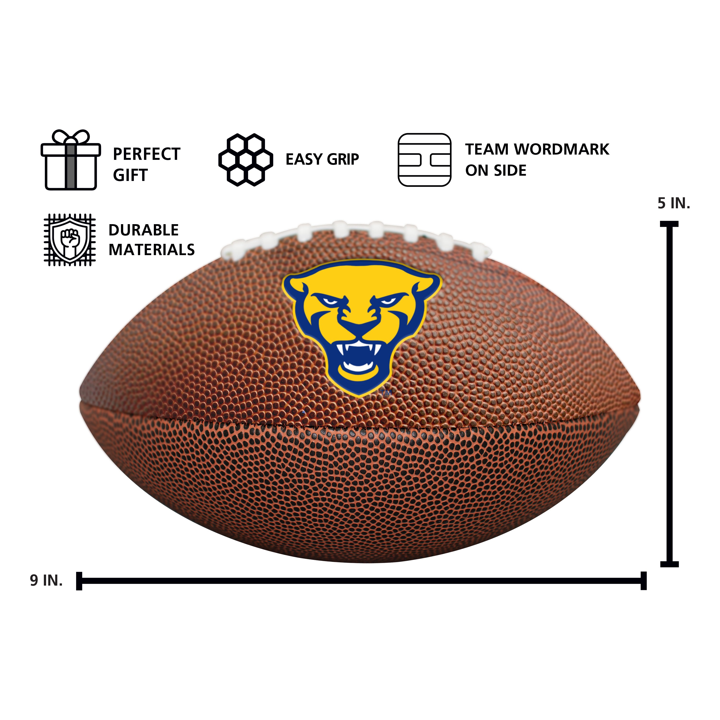 Pittsburgh Mini-Size Composite Football