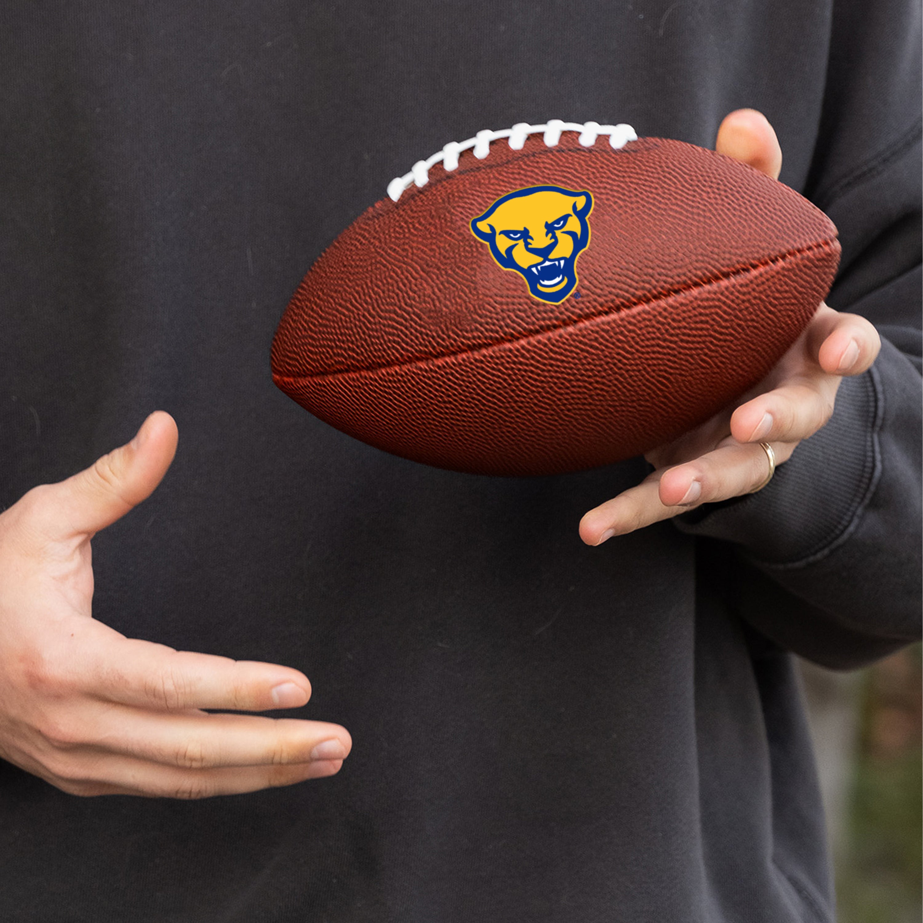 Pittsburgh Mini-Size Composite Football