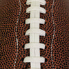 South Carolina Mini-Size Composite Football