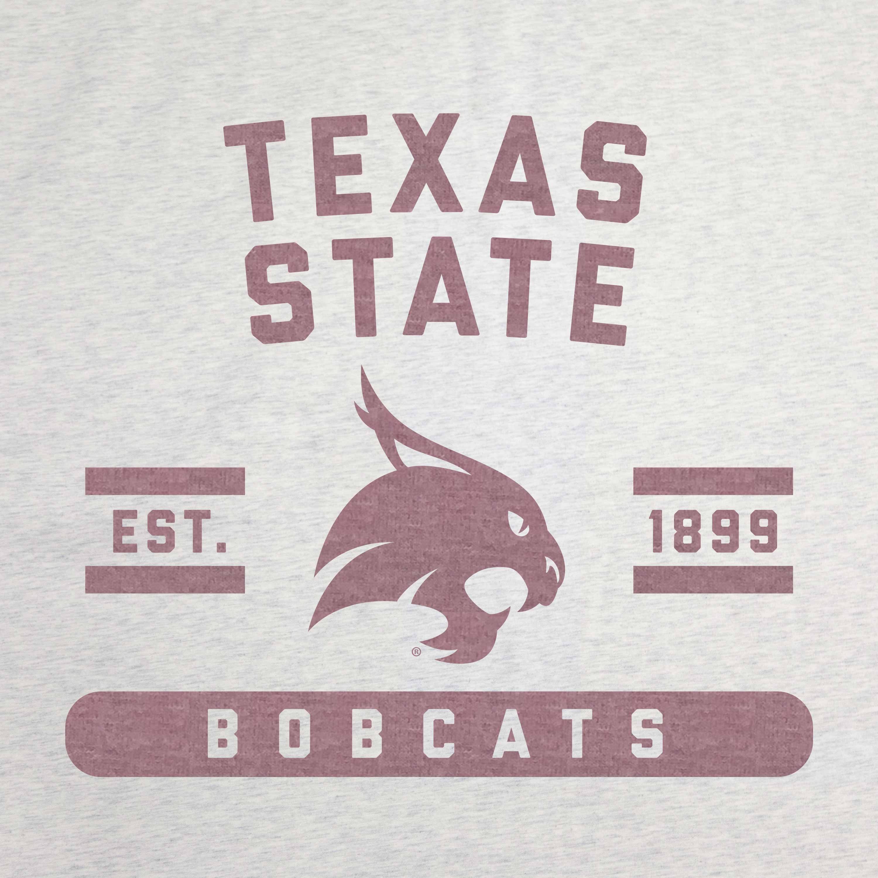 Texas State Sublimated Sweatshirt Blanket