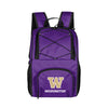 Washington 24 Can Flex Backpack Cooler