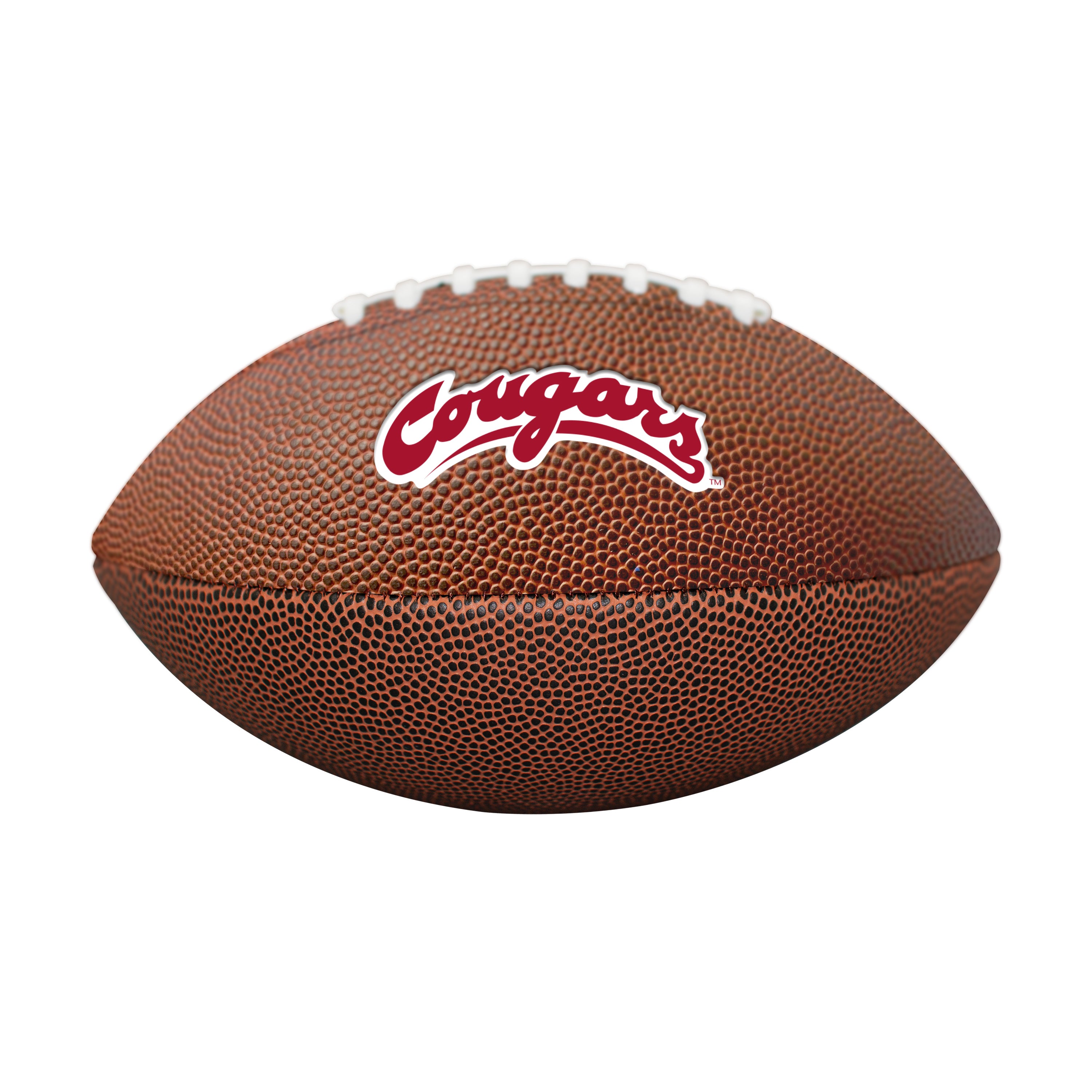 Washington State Mini-Size Composite Football