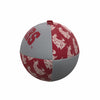 Washington State Mini-Size Rubber Football