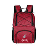 Washington State 24 Can Flex Backpack Cooler