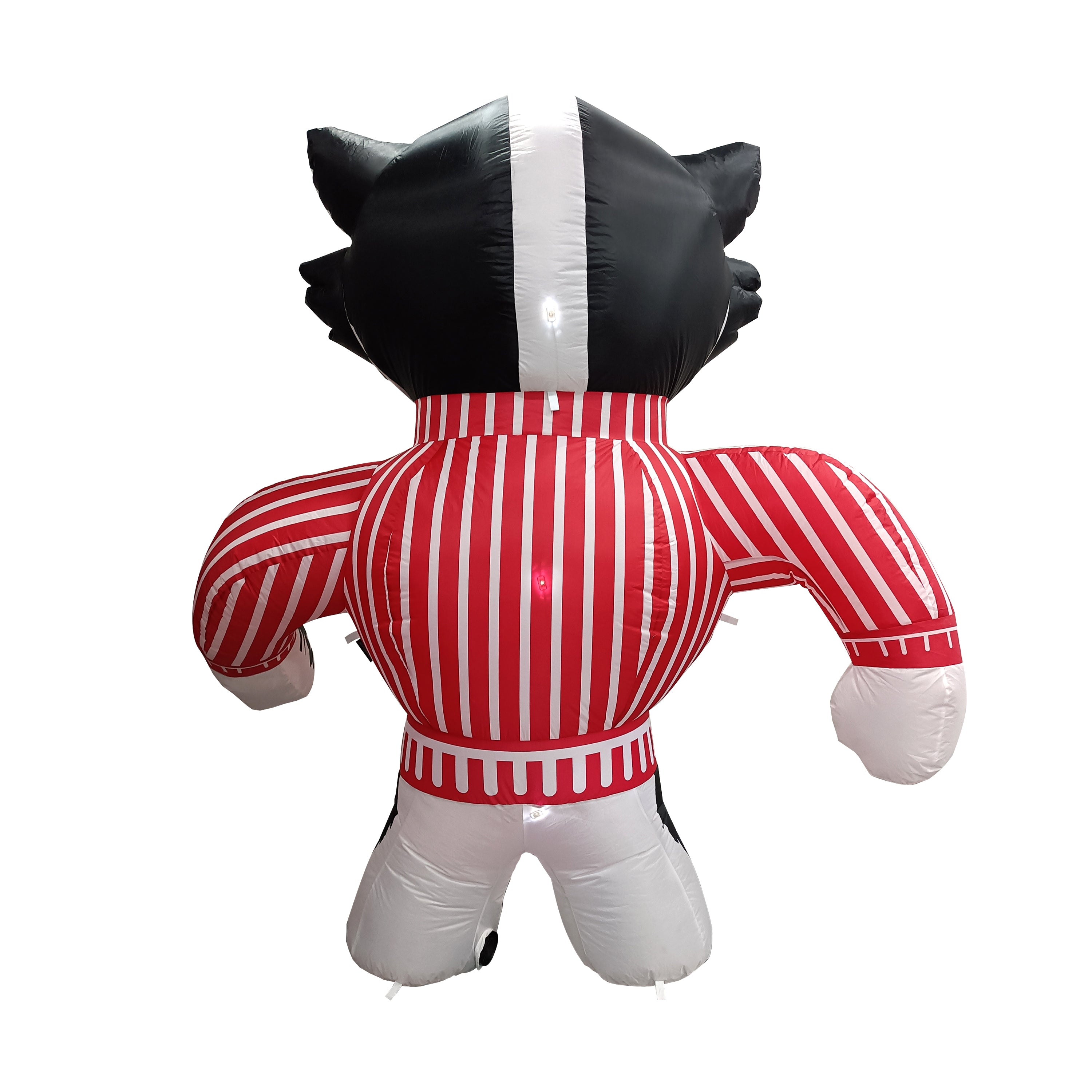 Wisconsin Inflatable Mascot