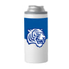 Tennessee State 12oz Colorblock Slim Can Coolie
