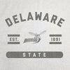 Delaware State Sublimated Sweatshirt Blanket
