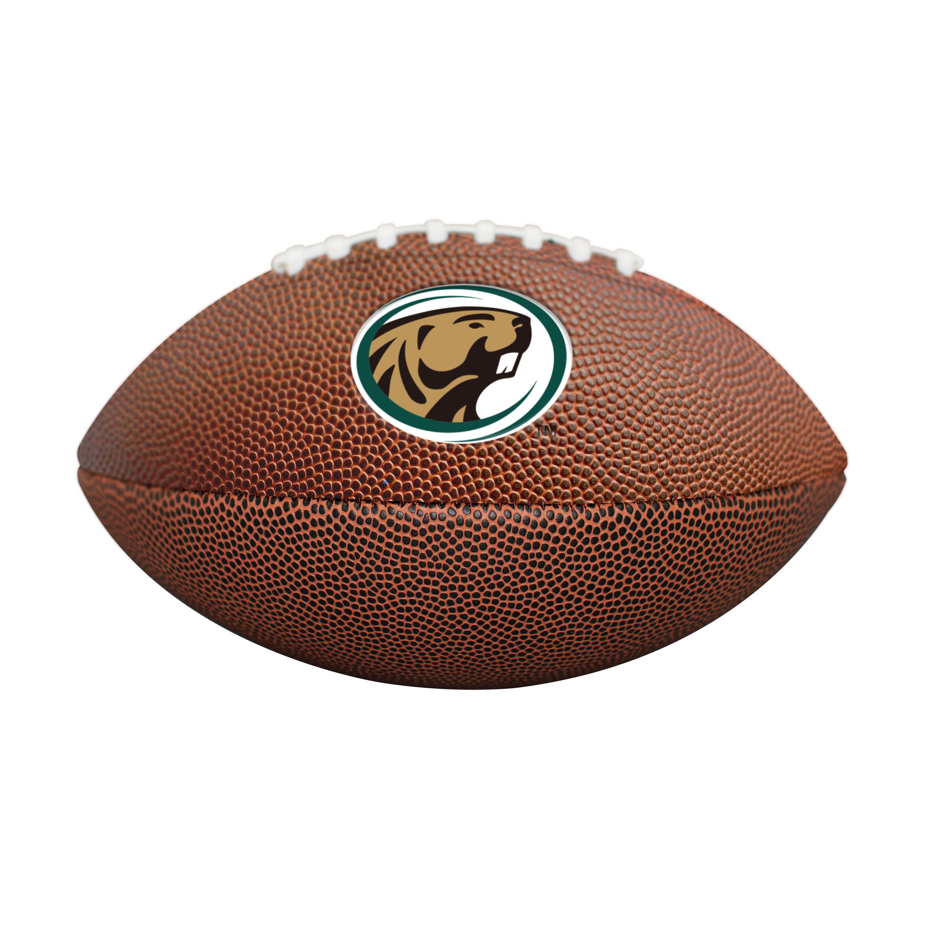 Bemidji State Mini Size Composite Football