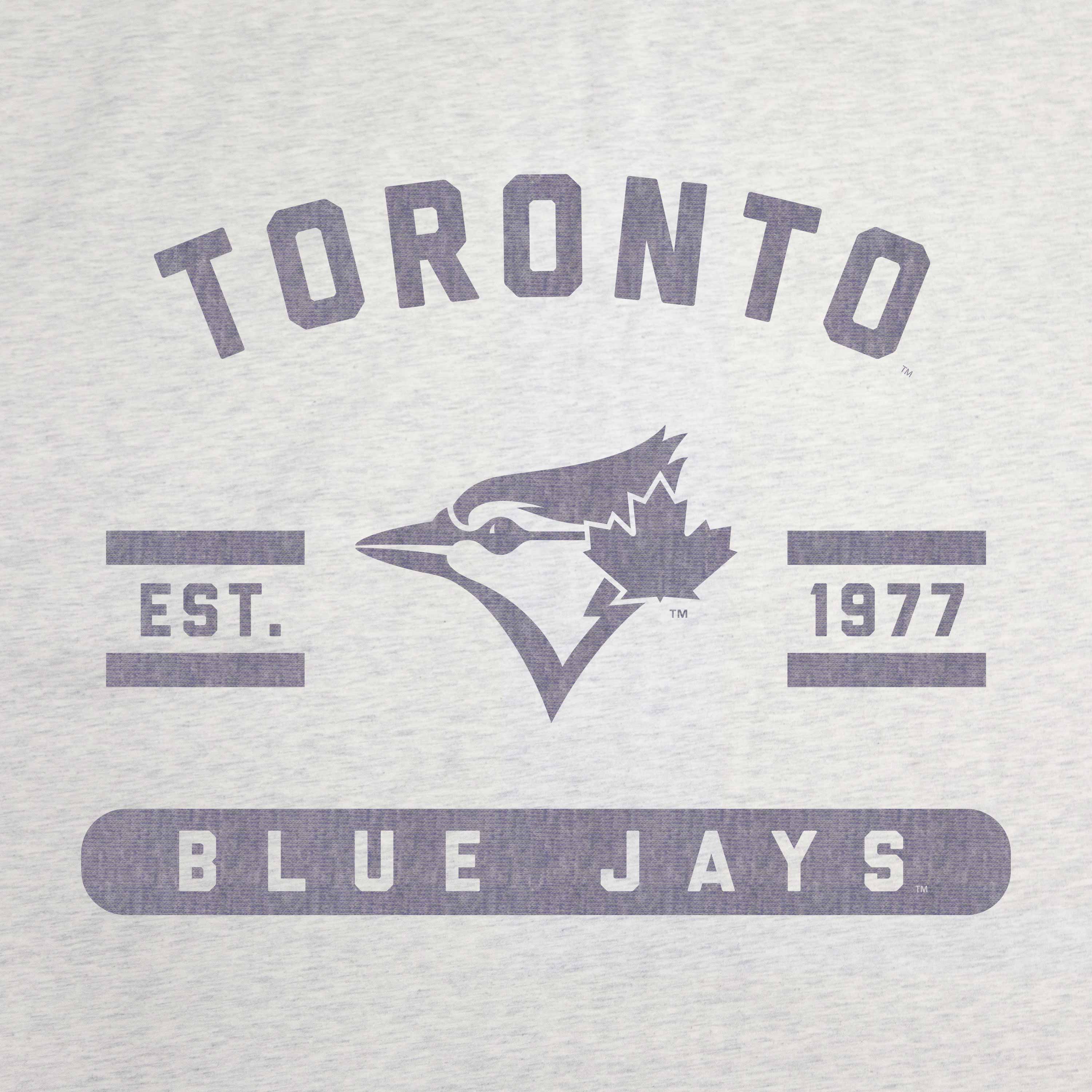 Toronto Blue Jays Sublimated Sweatshirt Blanket