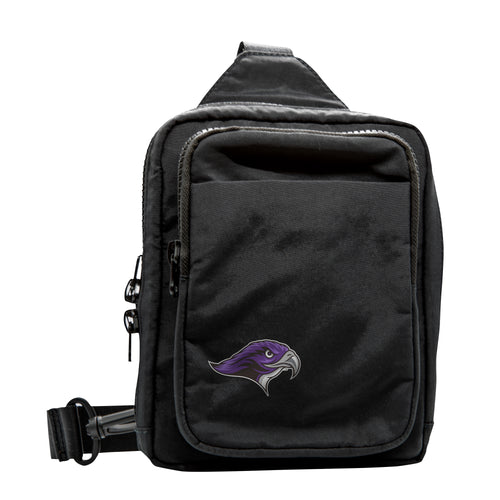 Product Image for Stonehill College Dash Pack