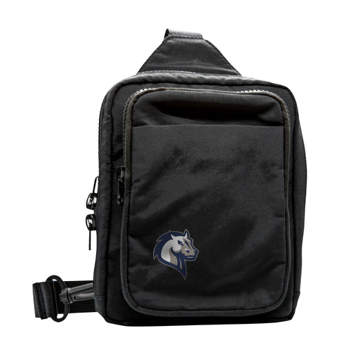 Product Image for Mercy College Dash Pack