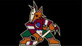 Arizona Coyotes