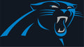 Carolina Panthers