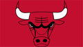 Chicago Bulls